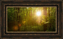 Load image into Gallery viewer, The Morning Breaks
