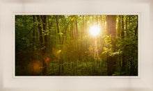 Load image into Gallery viewer, The Morning Breaks
