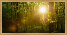 Load image into Gallery viewer, The Morning Breaks
