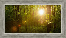 Load image into Gallery viewer, The Morning Breaks
