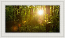 Load image into Gallery viewer, The Morning Breaks
