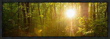 Load image into Gallery viewer, The Morning Breaks
