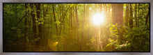 Load image into Gallery viewer, The Morning Breaks
