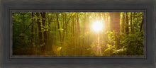 Load image into Gallery viewer, The Morning Breaks

