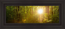 Load image into Gallery viewer, The Morning Breaks
