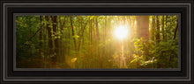Load image into Gallery viewer, The Morning Breaks

