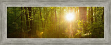 Load image into Gallery viewer, The Morning Breaks
