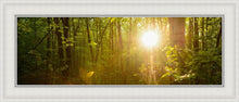 Load image into Gallery viewer, The Morning Breaks
