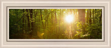 Load image into Gallery viewer, The Morning Breaks
