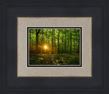Load image into Gallery viewer, Sacred Morning
