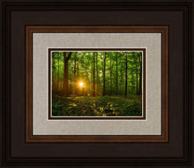 Load image into Gallery viewer, Sacred Morning
