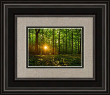 Load image into Gallery viewer, Sacred Morning
