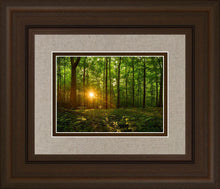 Load image into Gallery viewer, Sacred Morning
