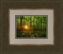 Load image into Gallery viewer, Sacred Morning
