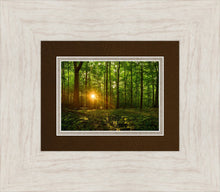 Load image into Gallery viewer, Sacred Morning
