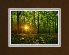 Load image into Gallery viewer, Sacred Morning
