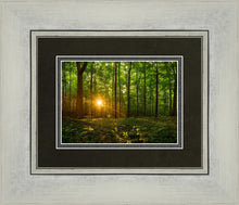 Load image into Gallery viewer, Sacred Morning
