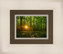Load image into Gallery viewer, Sacred Morning
