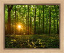 Load image into Gallery viewer, Sacred Morning
