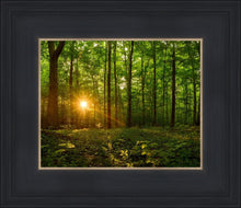 Load image into Gallery viewer, Sacred Morning
