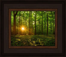 Load image into Gallery viewer, Sacred Morning
