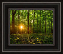 Load image into Gallery viewer, Sacred Morning
