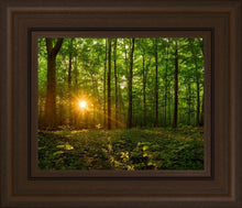 Load image into Gallery viewer, Sacred Morning
