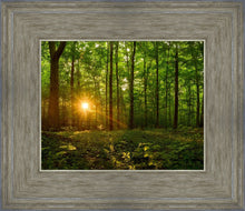 Load image into Gallery viewer, Sacred Morning
