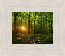 Load image into Gallery viewer, Sacred Morning
