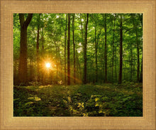 Load image into Gallery viewer, Sacred Morning
