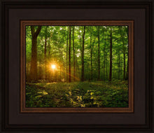 Load image into Gallery viewer, Sacred Morning
