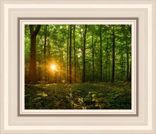 Load image into Gallery viewer, Sacred Morning
