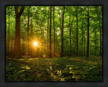 Load image into Gallery viewer, Sacred Morning
