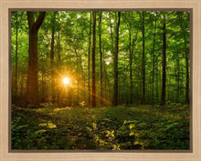 Load image into Gallery viewer, Sacred Morning
