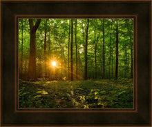 Load image into Gallery viewer, Sacred Morning
