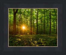 Load image into Gallery viewer, Sacred Morning
