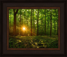 Load image into Gallery viewer, Sacred Morning
