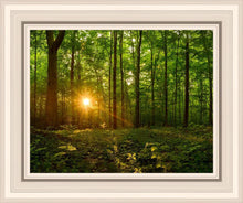 Load image into Gallery viewer, Sacred Morning

