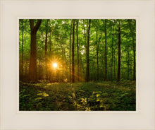 Load image into Gallery viewer, Sacred Morning
