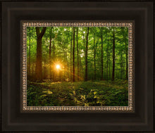 Load image into Gallery viewer, Sacred Morning
