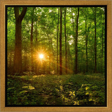 Load image into Gallery viewer, Sacred Morning
