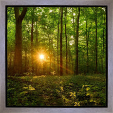 Load image into Gallery viewer, Sacred Morning
