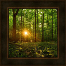 Load image into Gallery viewer, Sacred Morning
