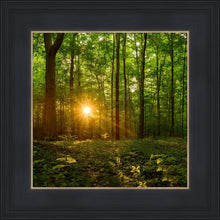 Load image into Gallery viewer, Sacred Morning

