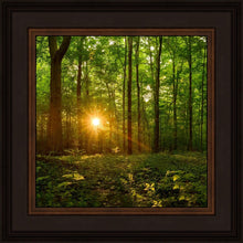 Load image into Gallery viewer, Sacred Morning
