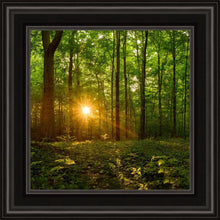 Load image into Gallery viewer, Sacred Morning
