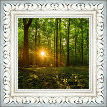 Load image into Gallery viewer, Sacred Morning
