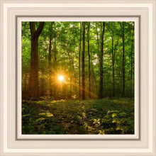 Load image into Gallery viewer, Sacred Morning
