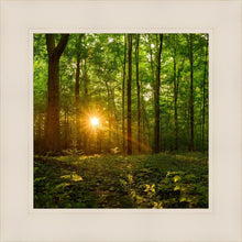 Load image into Gallery viewer, Sacred Morning
