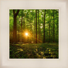 Load image into Gallery viewer, Sacred Morning
